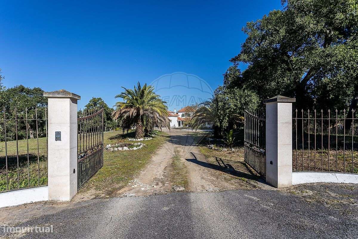 Quinta T5 para venda - Grande imagem: 2/35