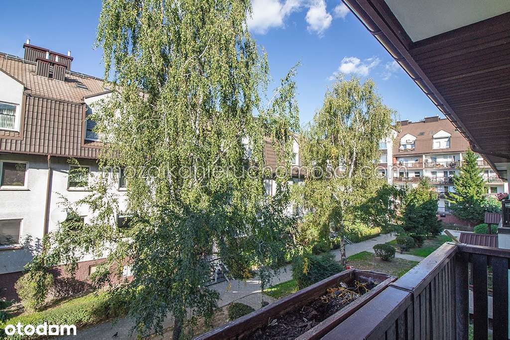 balkon- oddzielna kuchnia -duży salon + dwie sypialnie - Pełny obrazek: 3/20