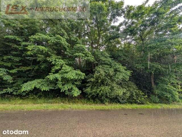 Spokojna okolica! Działka 615 m²-2