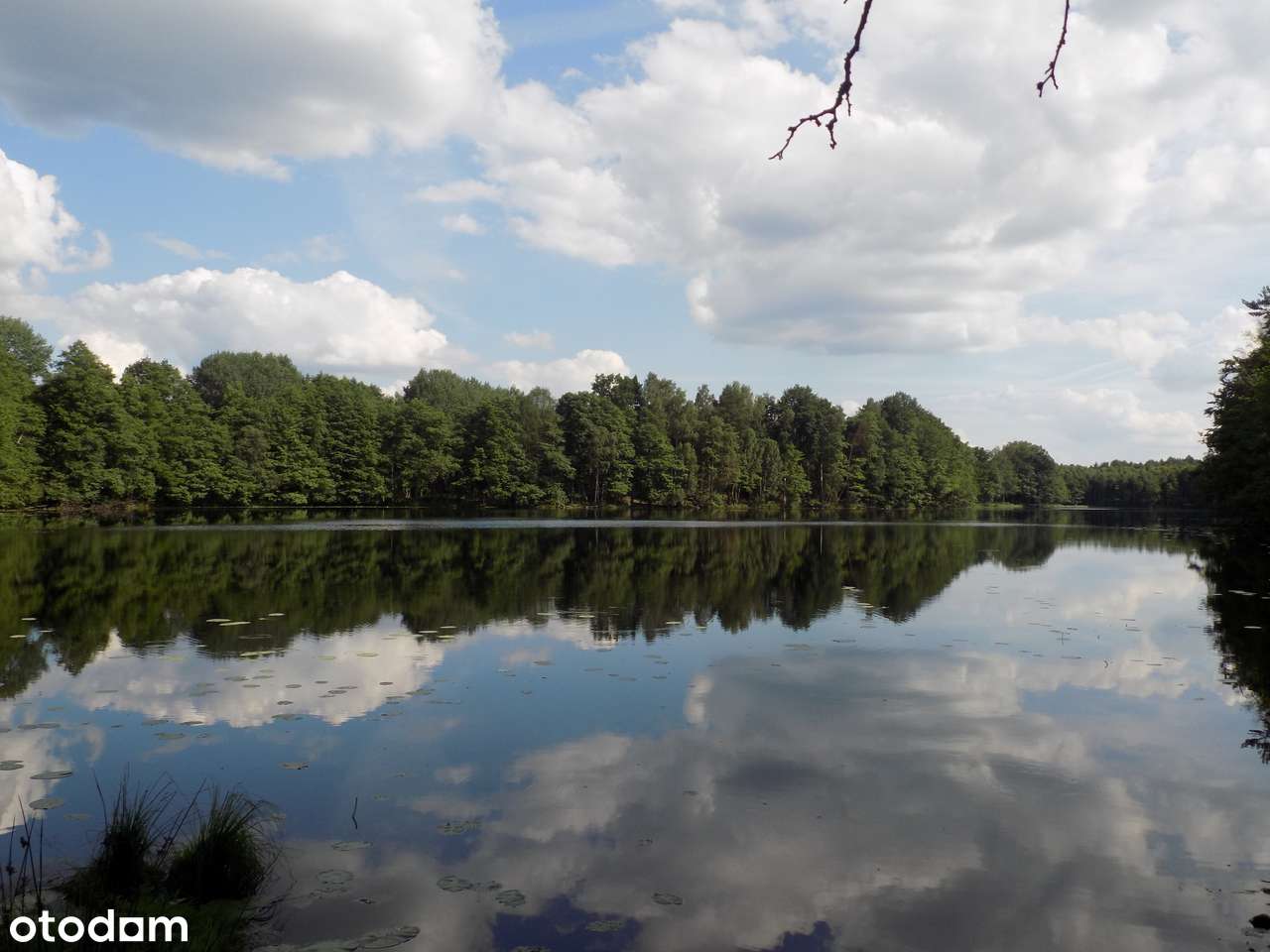 Działka obok rezerwatu przyrody - Pełny obrazek: 4/9