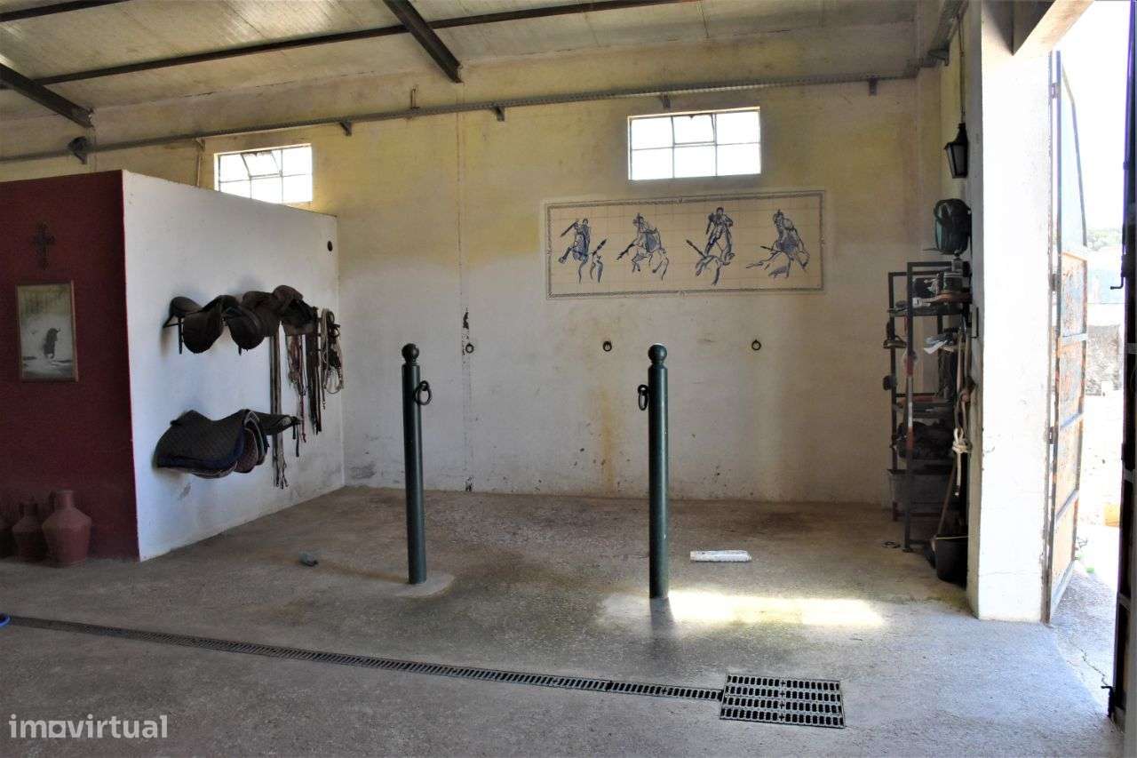 Quinta em Évora com 2,25 ha vocacionada para o mundo equestre-24