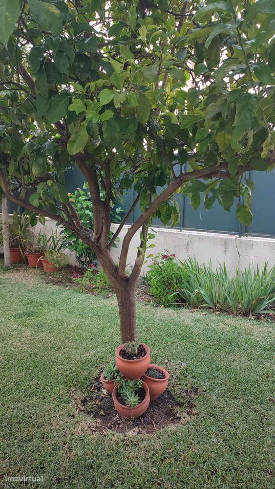 Moradia gaveto T3 em Amares-49
