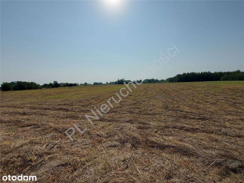 Siedlisko Jak Z Bajki, Miejskie Media, Komunikacja-18