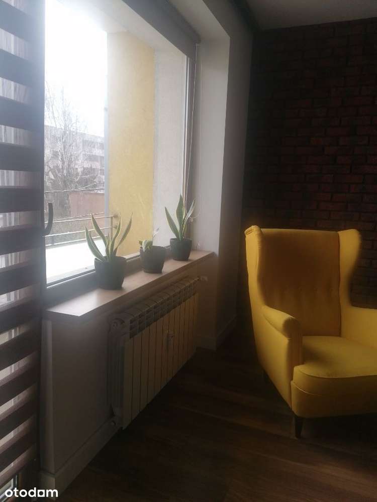 Mieszkanie Jagiellończyka - Pełny obrazek: 4/17