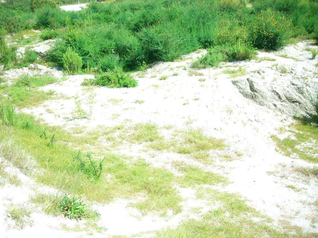 Terreno  Venda em Monsul,Póvoa de Lanhoso - Grande imagem: 5/5