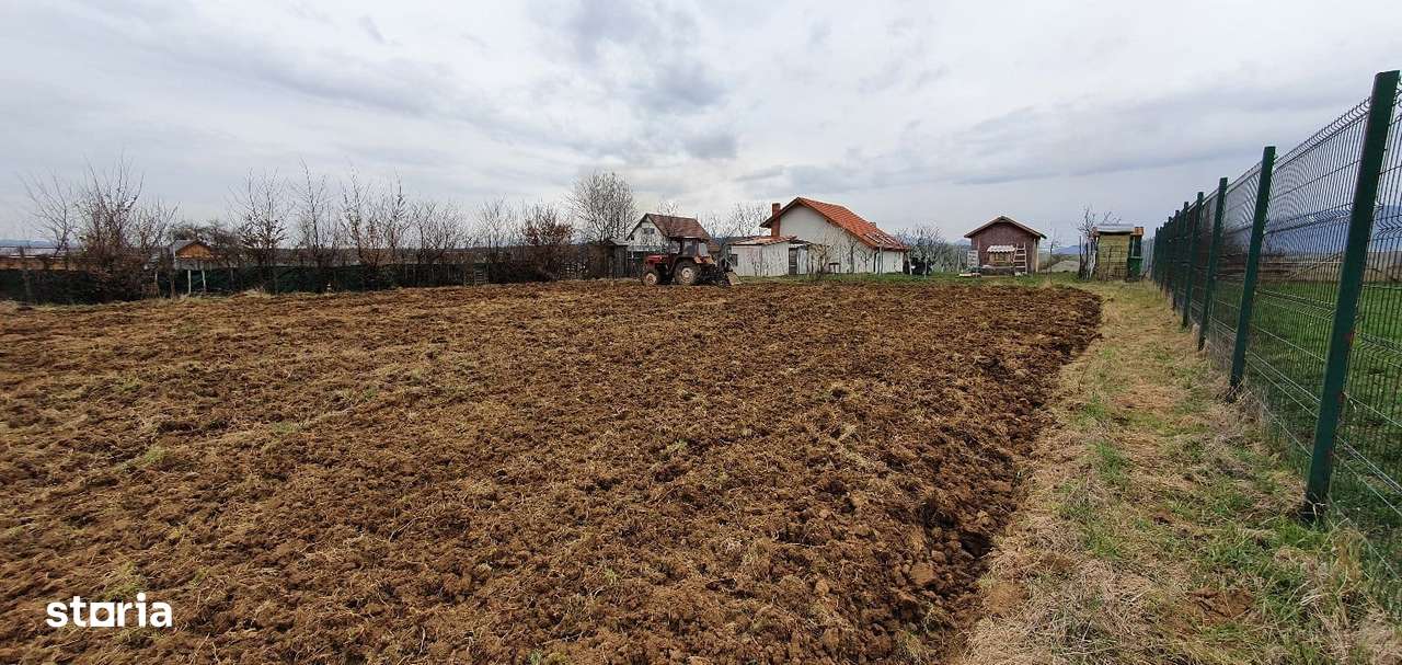 Imobiliare Maxim - tern intravilan Cisnadie-1