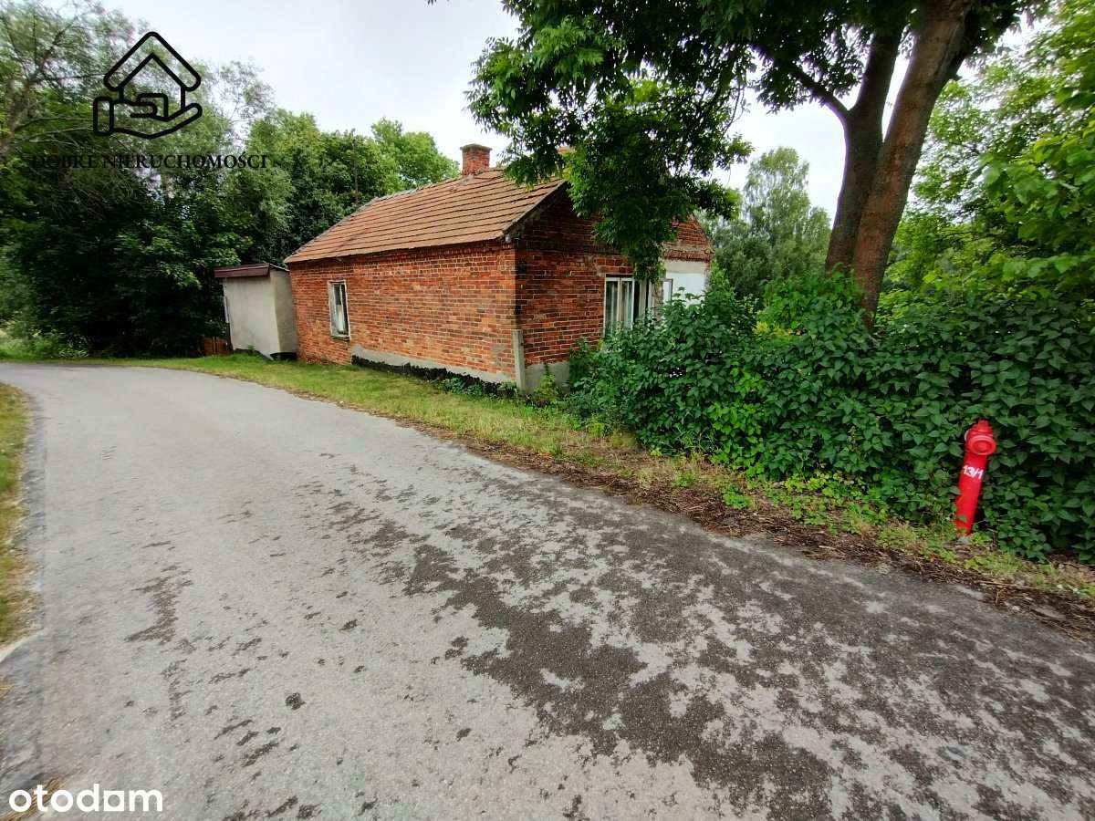 Siedlisko na działce 29 arów - Lisów gm. Lubartów - Pełny obrazek: 5/9