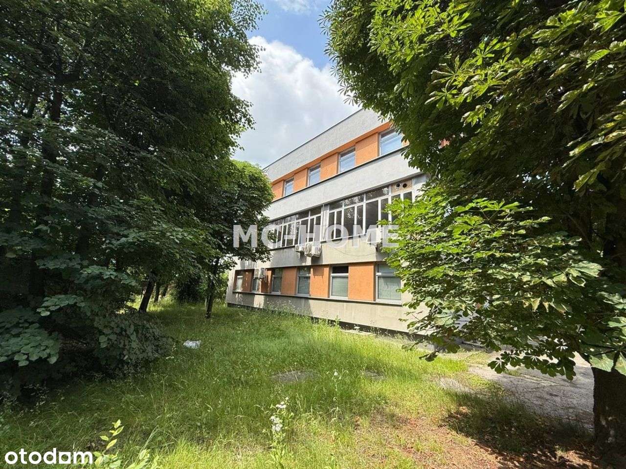 Lokal użytkowy, 2 248 m², Chorzów - Pełny obrazek: 5/17