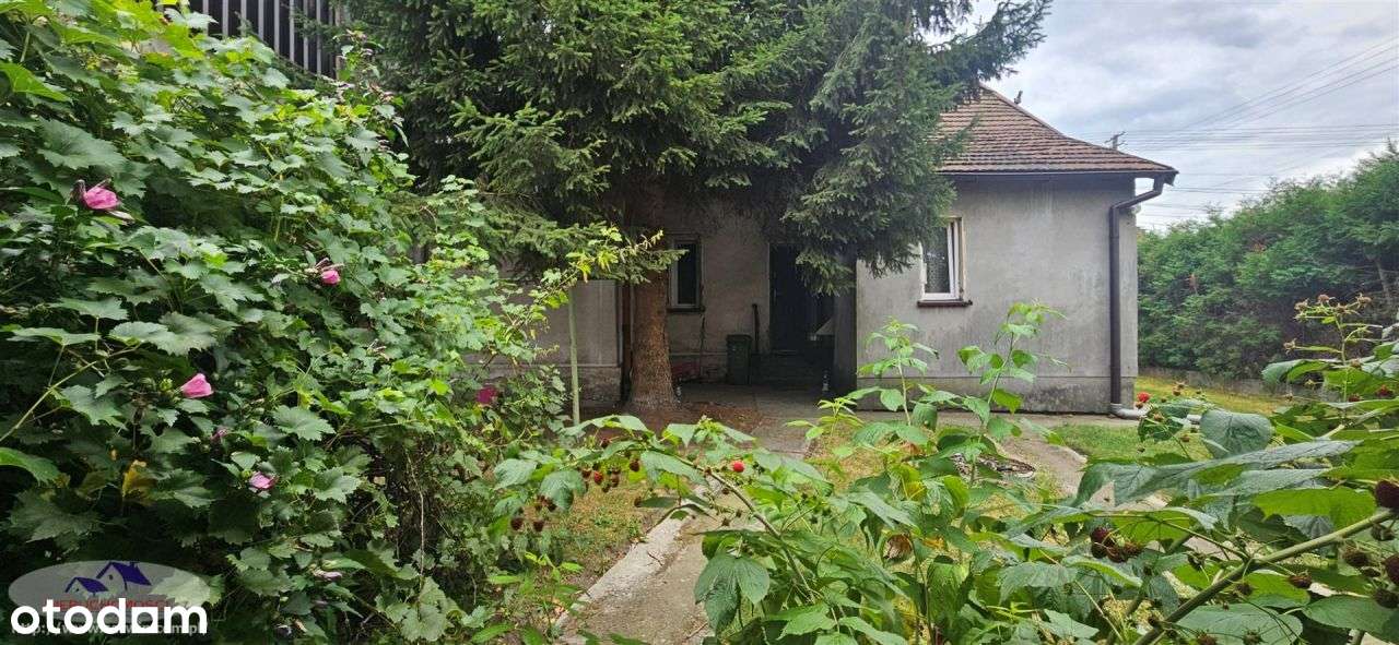 Dom, 85 m², Żabno-12