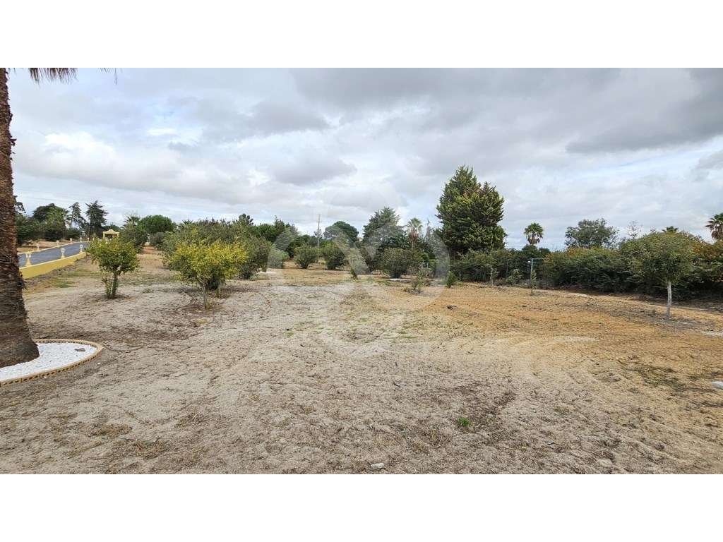 Quinta 2,4 hectares com moradia T5 em Aveiras de Cima Azambuja-45