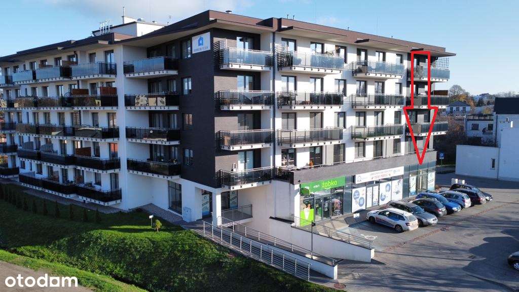 149 m2 blisko centrum miasta. Nowy lokal użytkowy - Pełny obrazek: 1/8