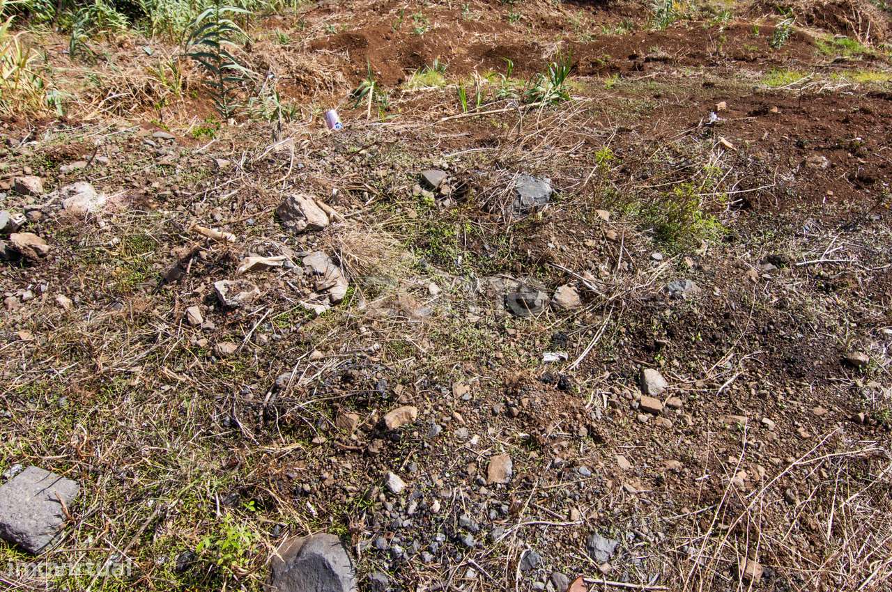 Terreno no Imaculado Coração de Maria, Funchal - Grande imagem: 4/9