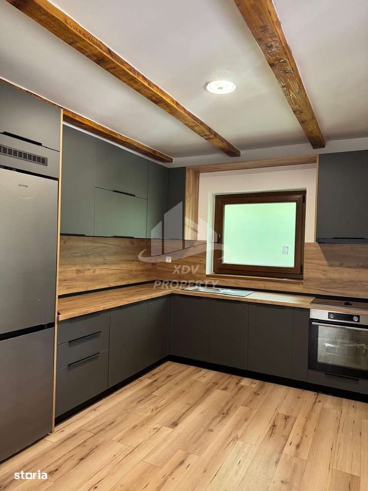 Pensiune/ Vila Valea Avrigului-2