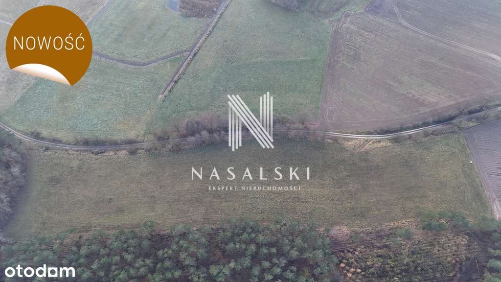 Działka 1500m2 Warunki zabudowy ściana  Lasu - Pełny obrazek: 4/4