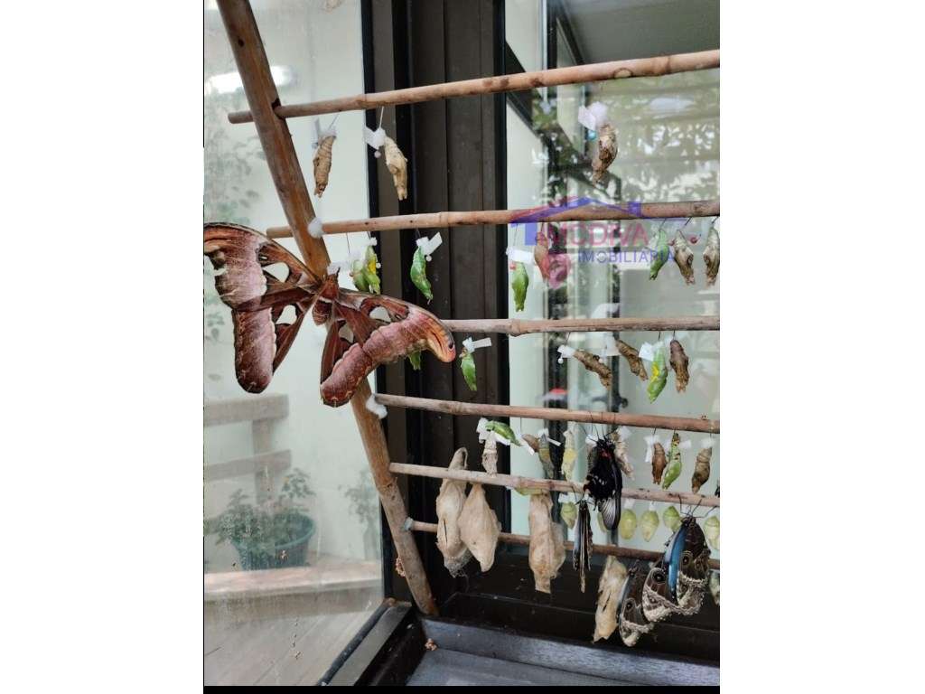 Moradia T2 com arrecadações, garagem e quintal em Constância-36