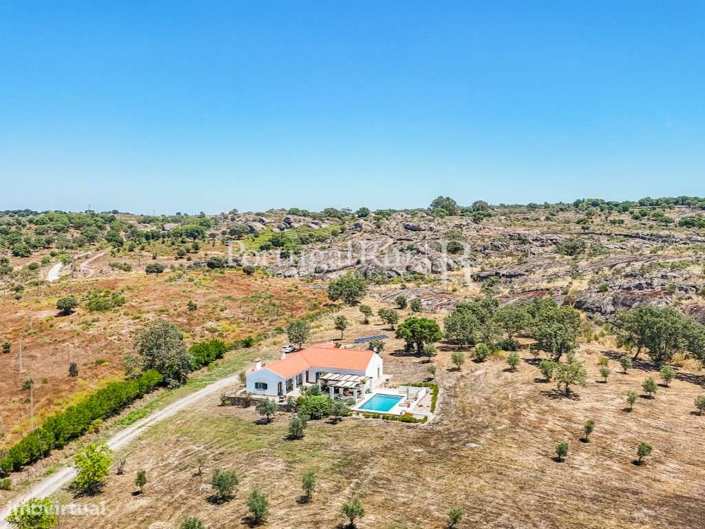 Quinta com 2 casas e piscina no P. N. da Serra de São Mamede - Grande imagem: 3/60