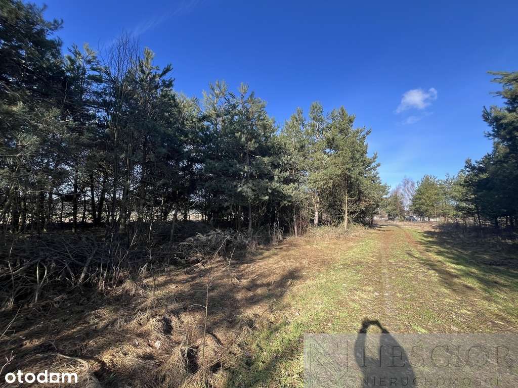 Na sprzedaż działka budowlana 800m Kownaciskach - Pełny obrazek: 4/4