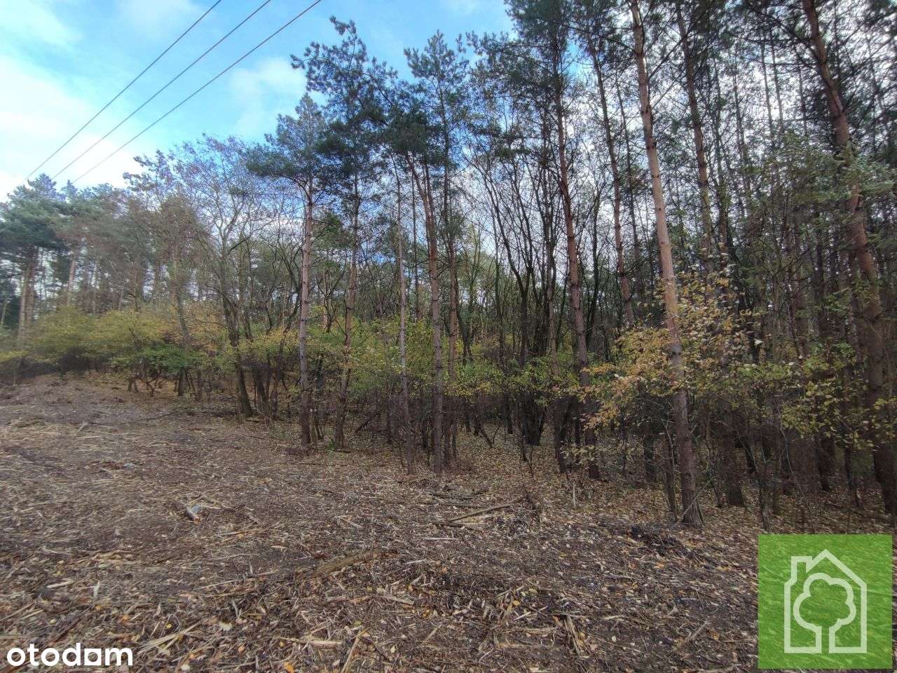 Działka, 3 517 m², Obrowo - Pełny obrazek: 2/10