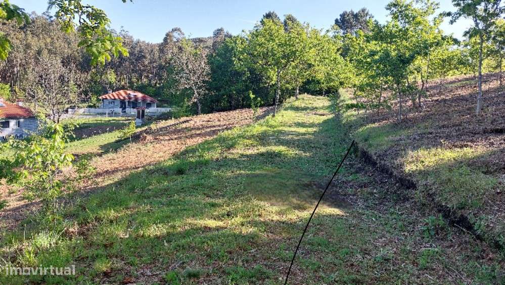 Terreno Terreno com 7.000m2 em Quinchães - Grande imagem: 2/8