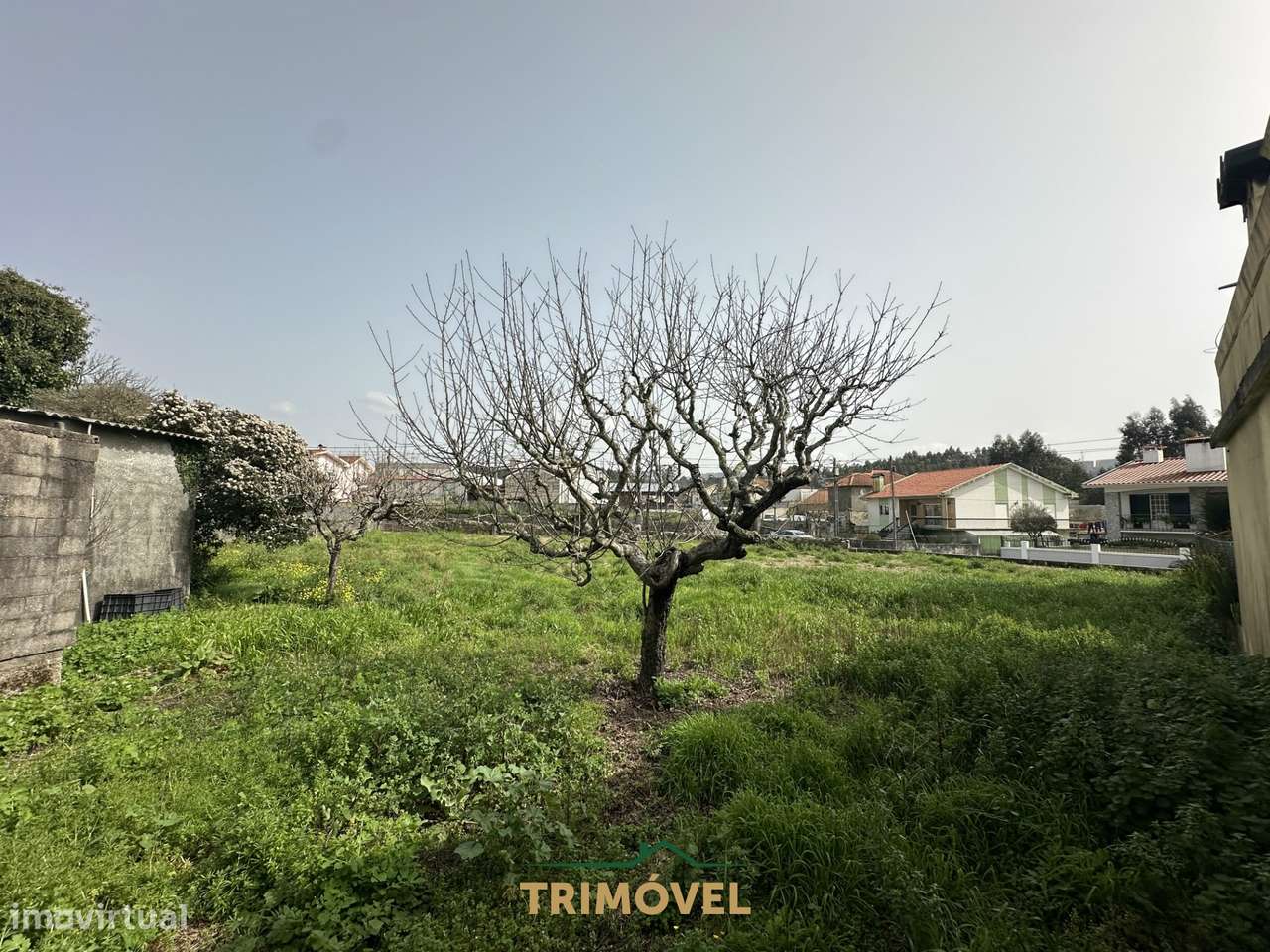 Terreno Urbano  Venda em São Roque,Oliveira de Azeméis - Grande imagem: 5/11