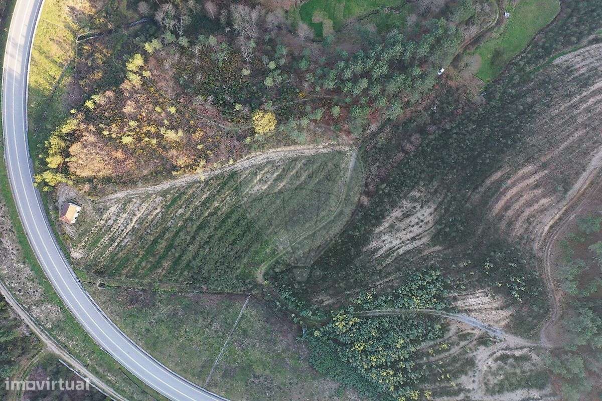 Quinta  para venda-5