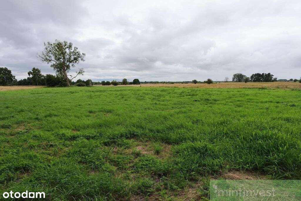 1,95 Ha W Żarnowie – Twoje Miejsce Blisko Natury-1