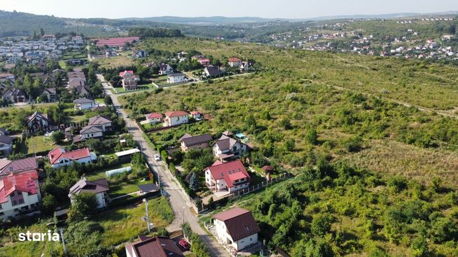 Teren intravilan Iasi - Bucium 550 mp - 560 mp 75 Euro/mp-3