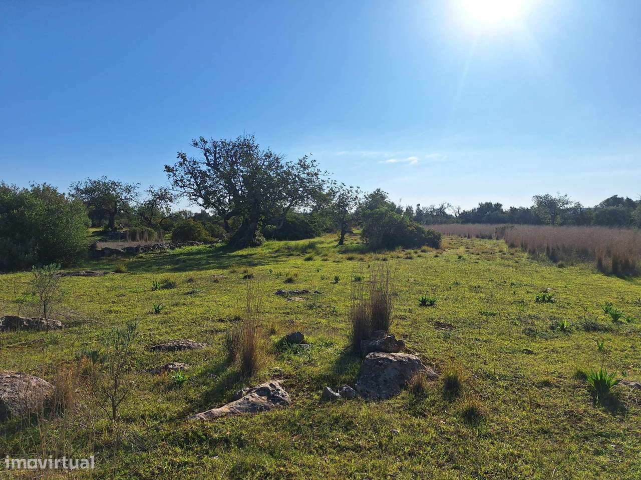 Terreno Rústico no Sítio do Laranjeiro de Santa Catarina da Fonte d...-19