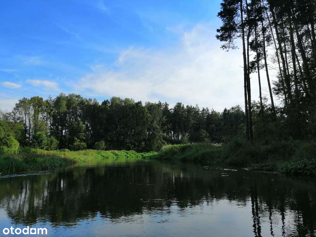 Piękna działka z dostępem do lasu, jeziora i rzeki. - Pełny obrazek: 5/15