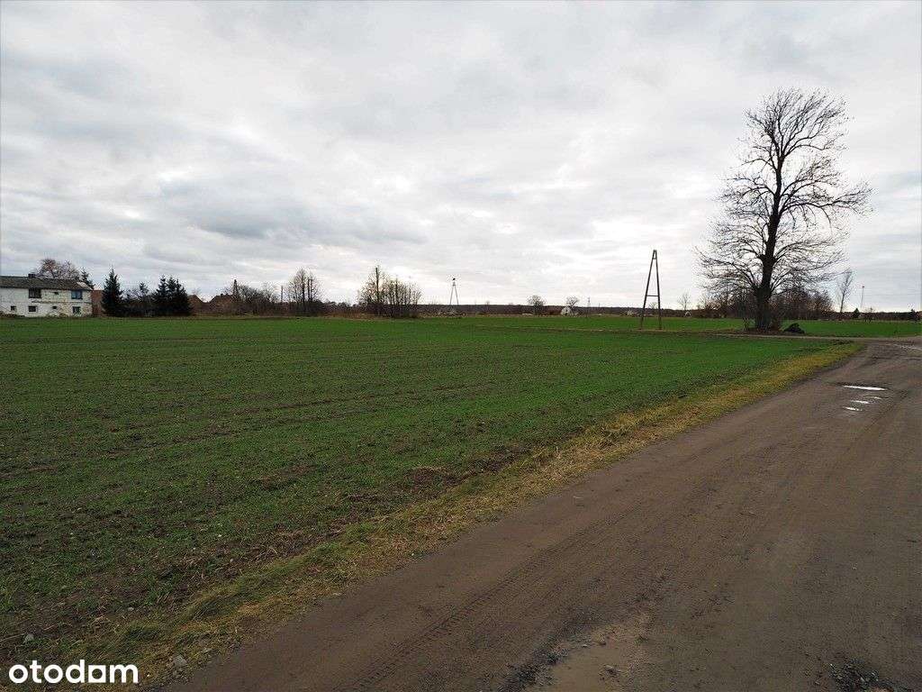 Malownicza działka budowlana 7371 m2 Wykroty - Pełny obrazek: 5/6