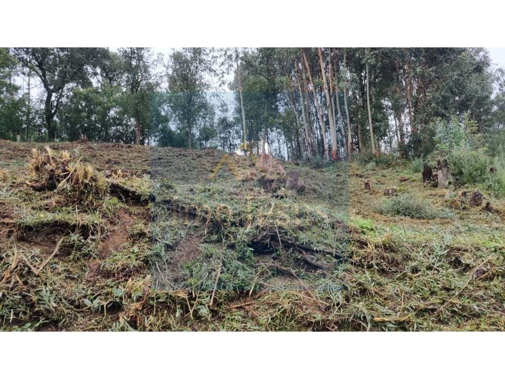 Terreno em Perosinho para Moradia-5