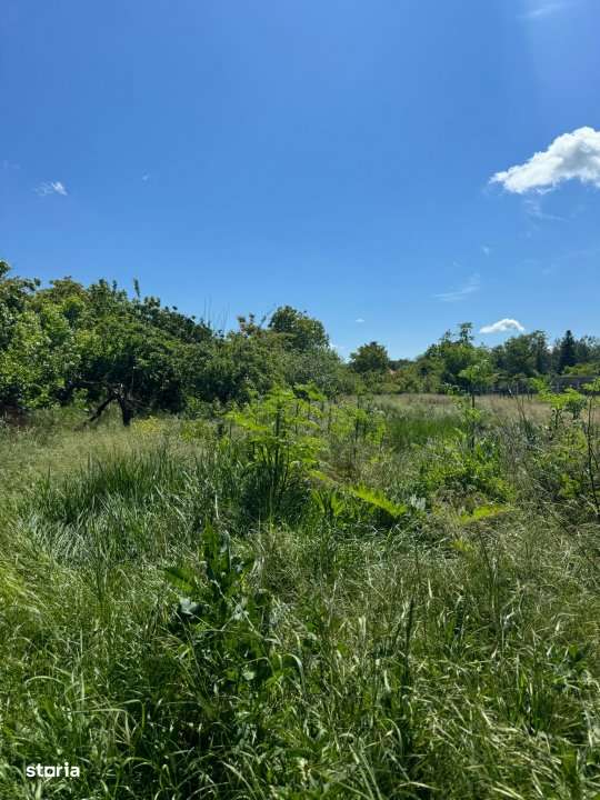 Teren Snagov – Ideal pentru dezvoltare rezidentiala sau investitie! - Imagine principală: 5/5