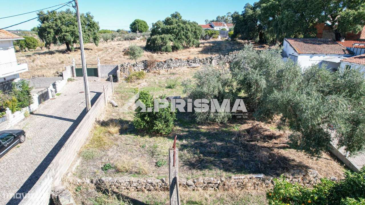 Terreno para venda em Alcains-8