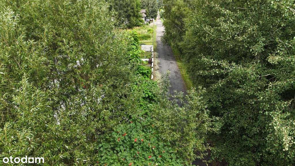 Działka budowlana 1001 m2 z WZ - Wolica - Pełny obrazek: 4/10