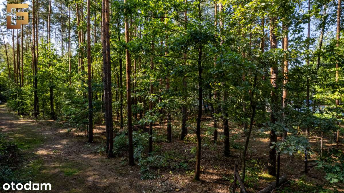 Cicha leśna działka z dobrym dojazdem / Skm-9
