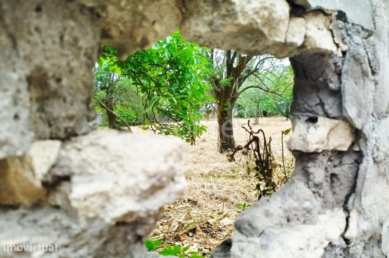 ÍLHAVO, S. Salvador - TERRENO para Construção - Grande imagem: 2/23