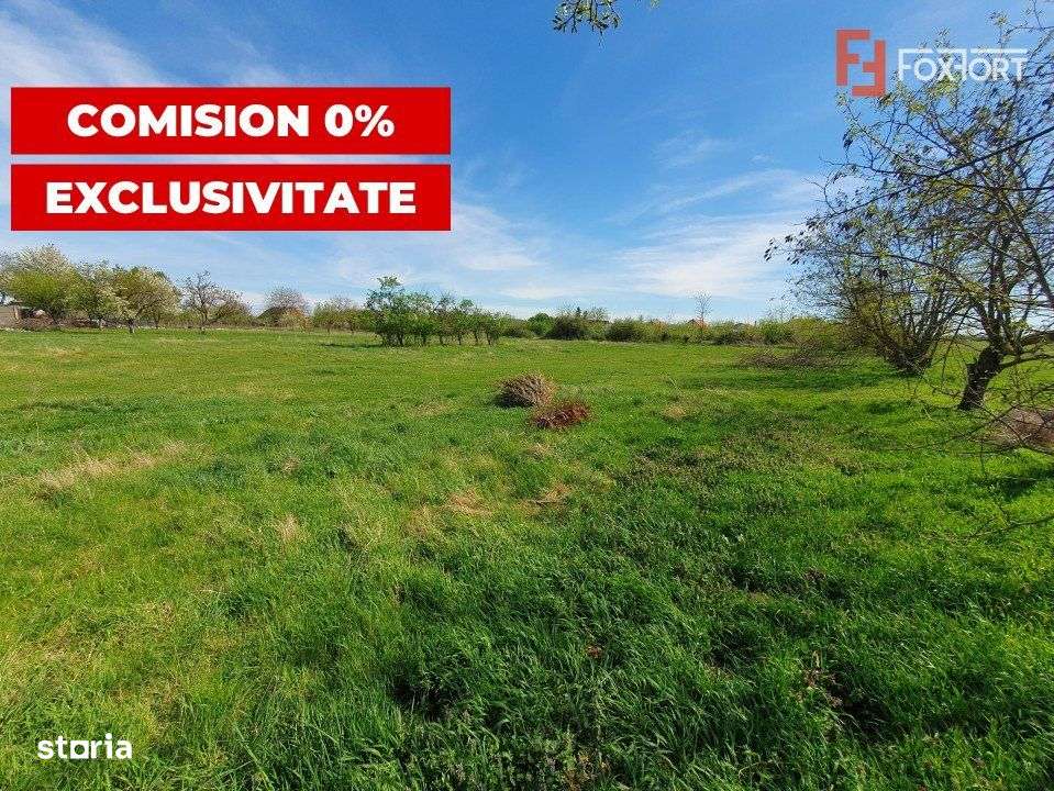 Comision 0% Teren intravilan 3000 mp in Padureni Jebel - Imagine principală: 1/8