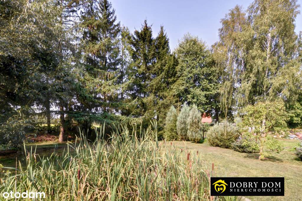 **działka pod twój dom z dobrym dojazdem** - Pełny obrazek: 4/7