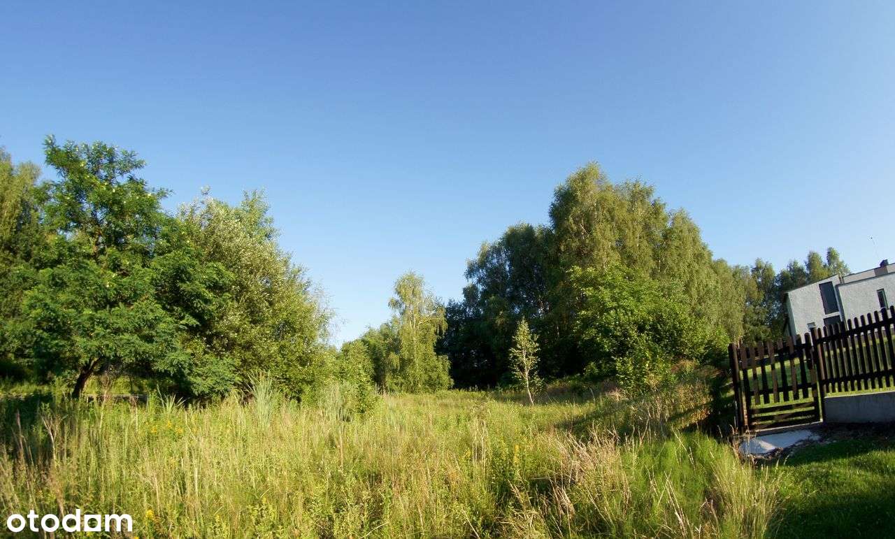 Piękna działka w Rybnik - Niedobczyce | Okazja!-3