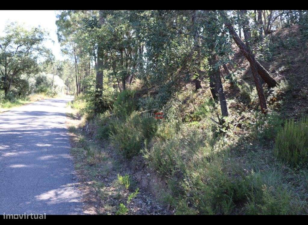 Terreno - Grande imagem: 4/10