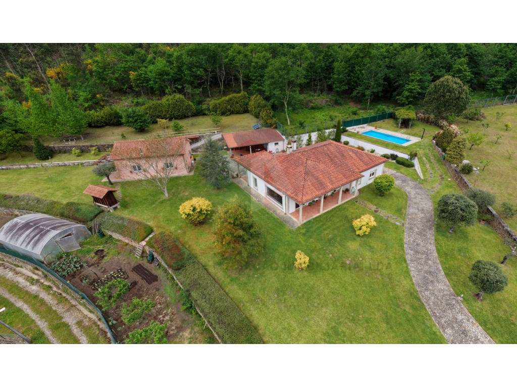Quintinha com 2 casas -Extraordinária propriedade-3