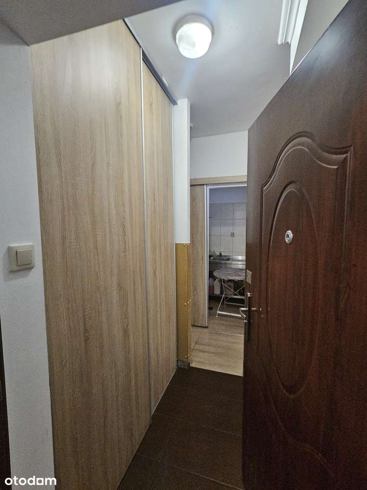 Sprzedam atrakcyjny, działający biznes z tradycjami - lodziarnia - Pełny obrazek: 3/11