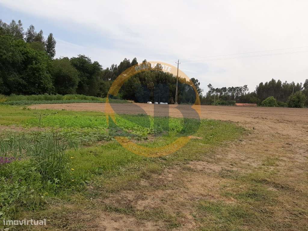 Terreno Rustico Válega Ovar - Grande imagem: 2/8