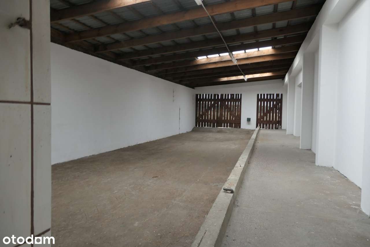 Hala do wynajęcia blisko Gniewu - Pełny obrazek: 4/9