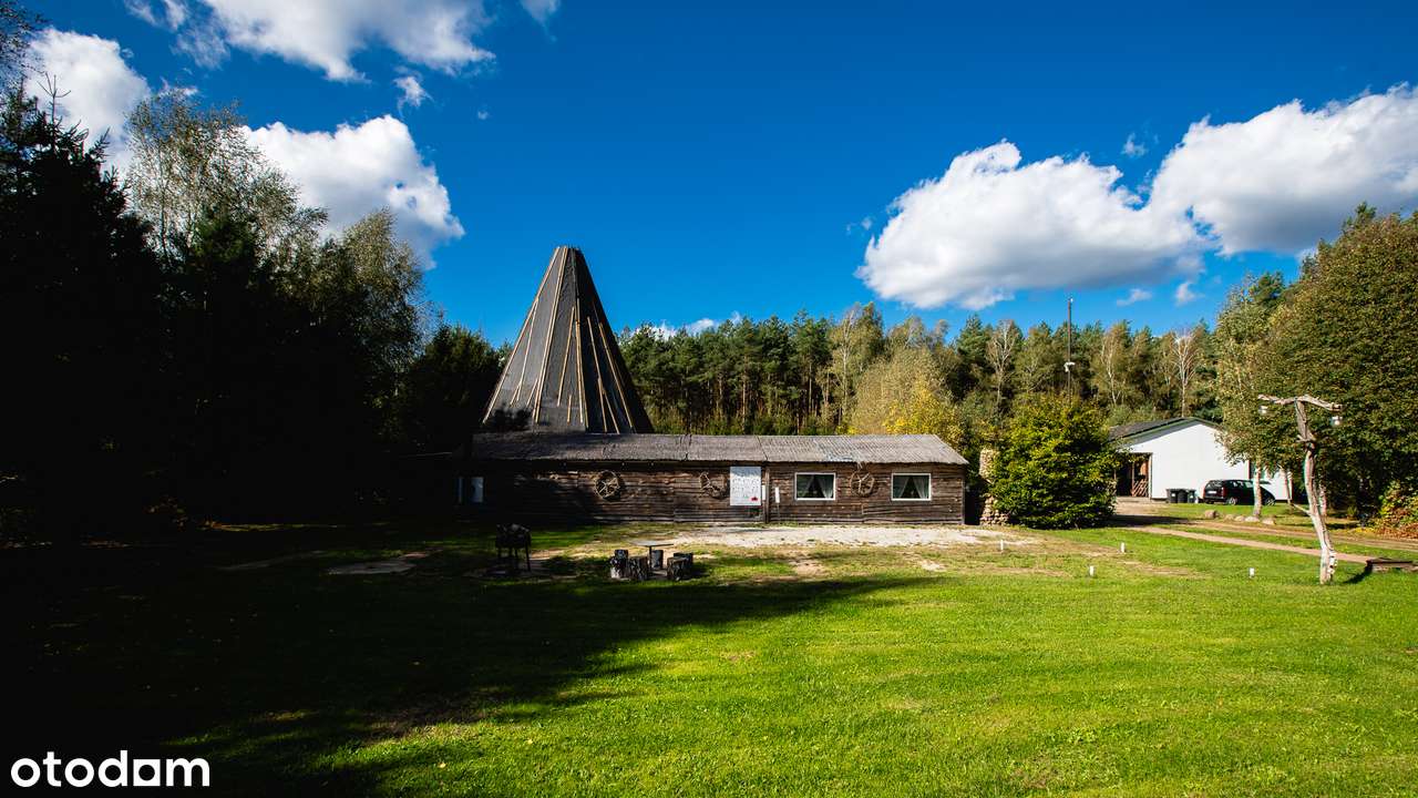 Dom i biznes w otoczeniu lasu-4