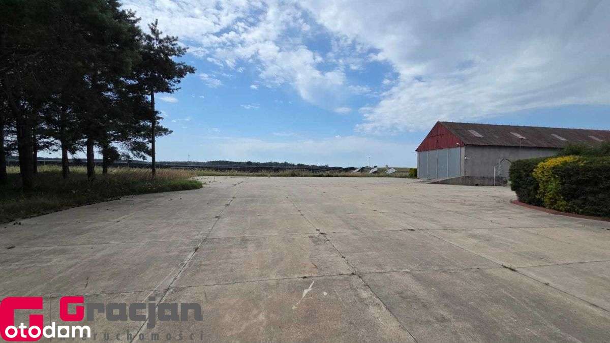 Budynki magazynowo-produkcyjne - Pełny obrazek: 4/11