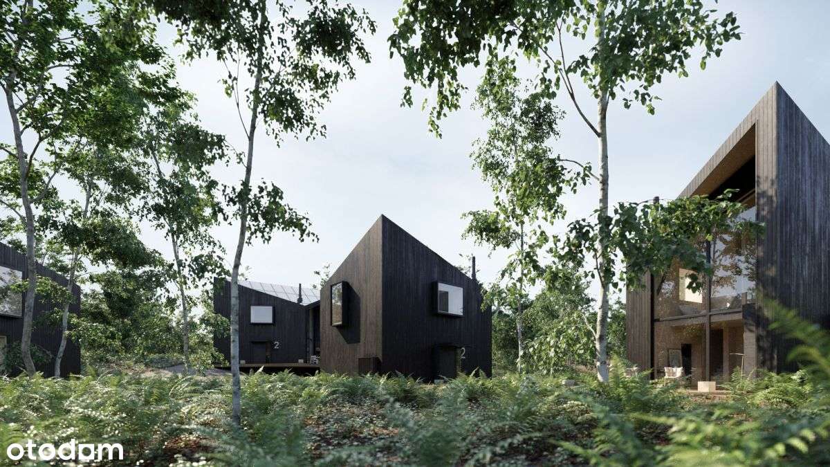 Wyjątkowa Działka 3,5 ha W Malowniczej Okolicy Poz-6