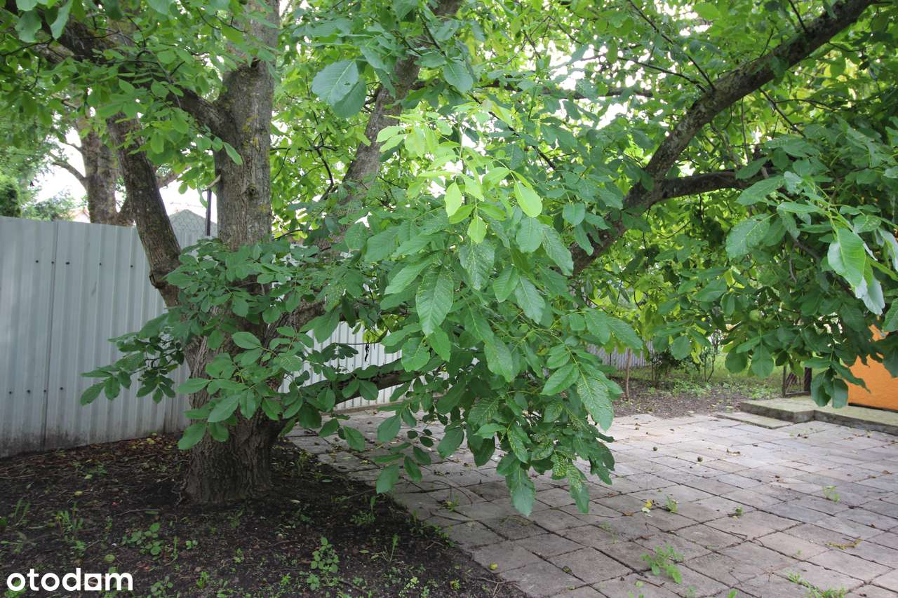 Na sprzedaż pawilon usługowo-handlowy, Orłowo, powiat wąbrzeski-9