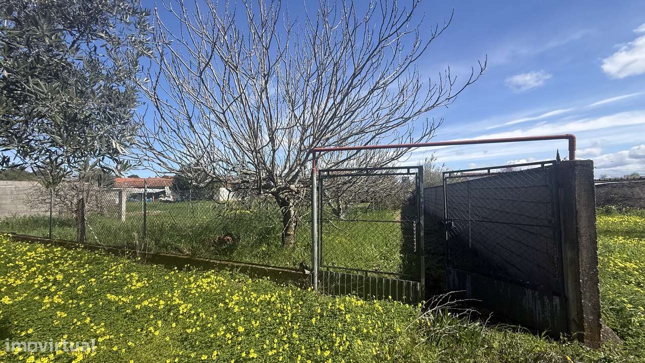 Moradia Isolada com Terreno Amplo em Parceiros da Igreja, torres novas-28