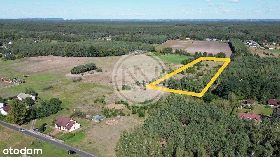 Działka Dębniaki-4